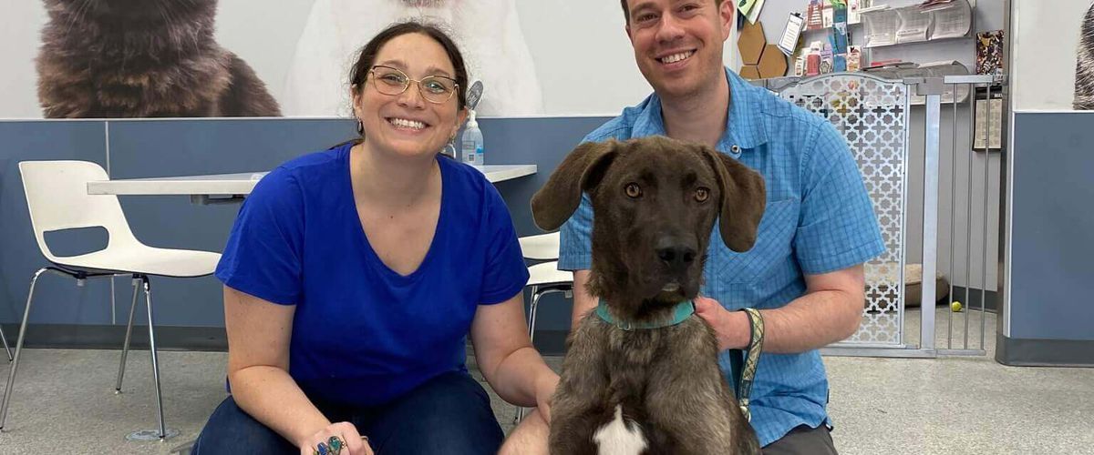 LifeLine Animal Project