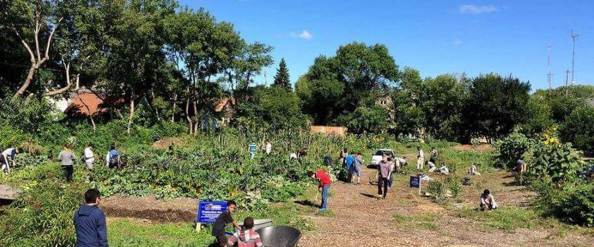 Victory Gardens Initiative