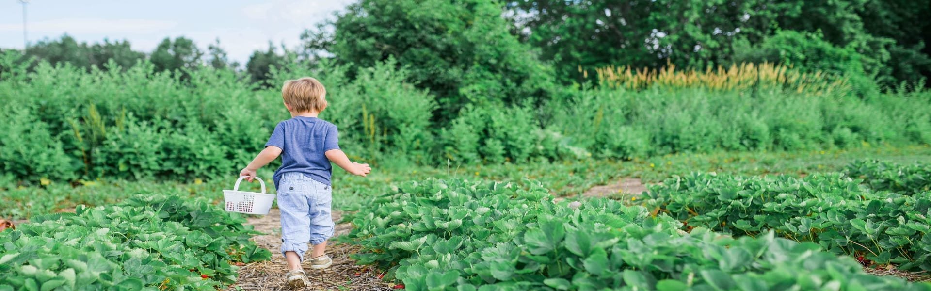 Teaching Young Learners about Food Waste and Composting