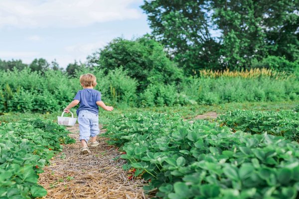 Teaching Young Learners about Food Waste and Composting