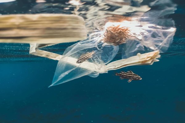 Teaching Students about Climate Change: Ocean Plastic Unit Lesson