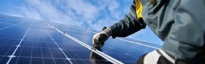 Bringing Rooftop Solar To Georgia’s Largest Animal Welfare Nonprofit