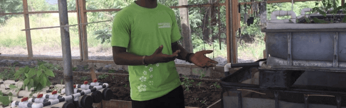 Sustainability Saves More than Just the Environment