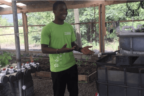 Sustainability Saves More than Just the Environment